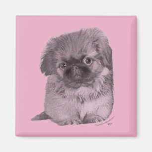 Pekingeservalp i rosa magnet