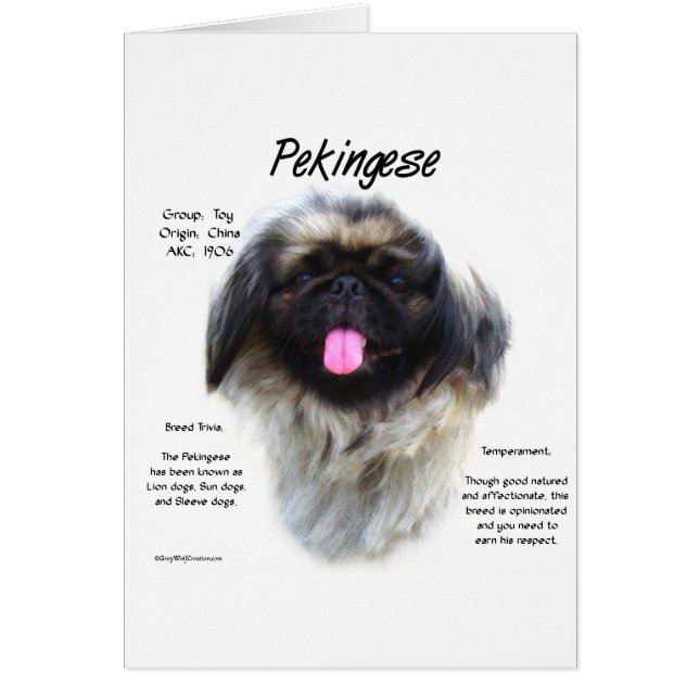 Pekingesisk historiedesign hälsningskort (Framsidan)