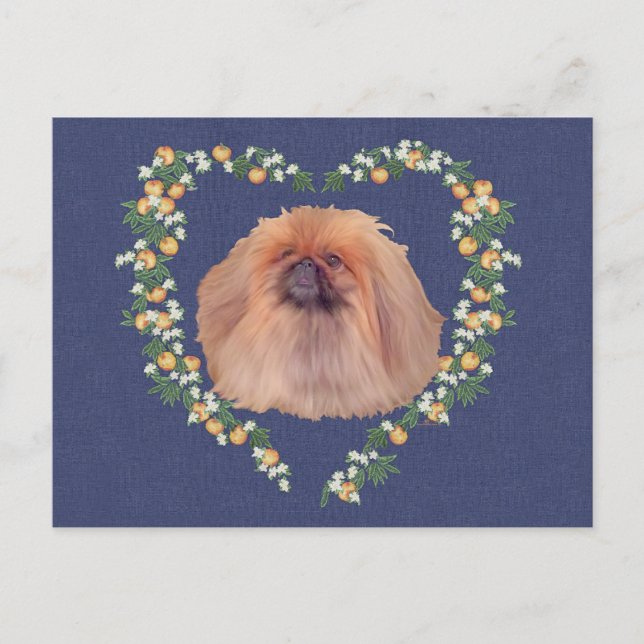 Pekingesiska Apelsinblommor Vykort (Framsida)