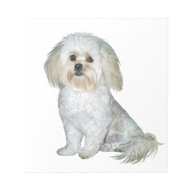 Pekkapoo (Peek-a-Poo) Anteckningsblock (Framsida)