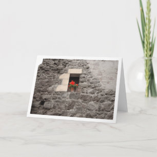 Pelargon i fönster kort