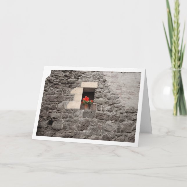 Pelargon i fönster kort (Framsida)