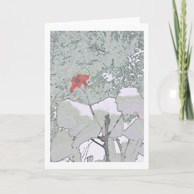 pelargon i snö kort (Framsida)