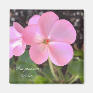 Pelargonblommamagneten tillfogar text som du magnet