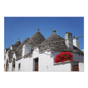 Pelargonblommor och trullihus i Alberobello Fototryck