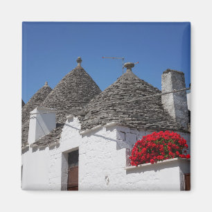 Pelargonblommor och trullihus i Alberobello Magnet