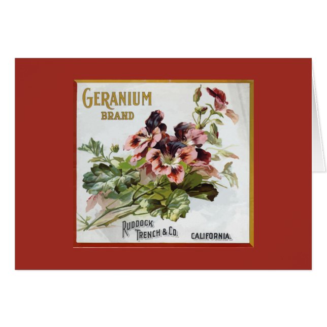 Pelargonen brännmärker fruktlådaetiketten OBS kort (Framsidan Horizontal)