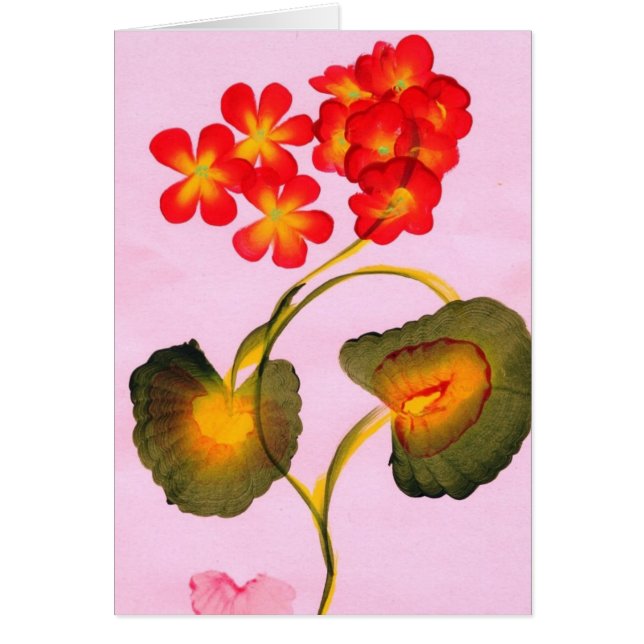 PELARGONER HÄLSNINGSKORT (Framsidan)