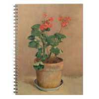 Pelargoner i en kruka, c.1905 (olja på kanfas)