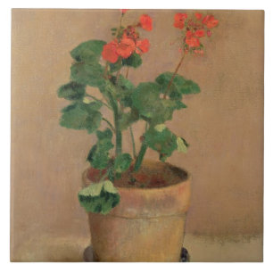 Pelargoner i en kruka, c.1905 (olja på kanfas) kakelplatta