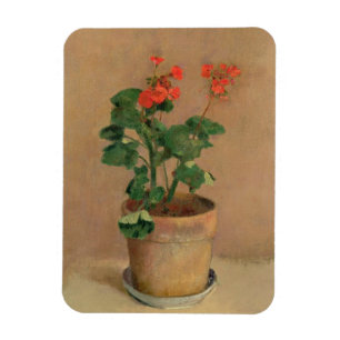 Pelargoner i en kruka, c.1905 (olja på kanfas) magnet