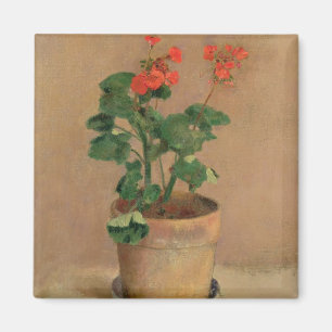 Pelargoner i en kruka, c.1905 (olja på kanfas) magnet