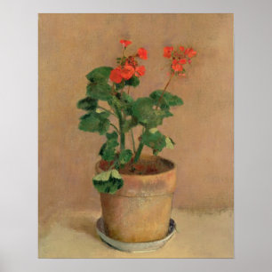 Pelargoner i en kruka, c.1905 (olja på kanfas) poster