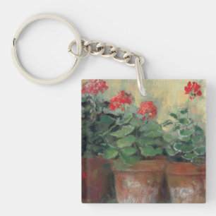 Pelargoner i krukar