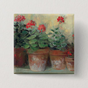 Pelargoner i krukar knapp