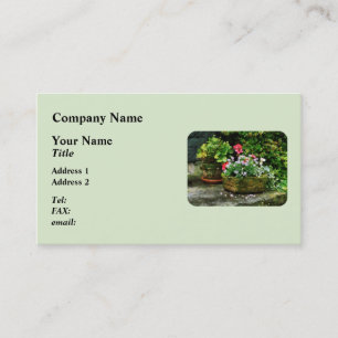 Pelargoner och lavendelblommor på stentrappa visitkort