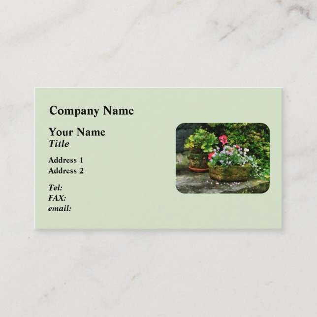 Pelargoner och lavendelblommor på stentrappa visitkort (Framsida)