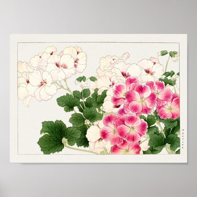 Pelargonium av Tanigami Konan Poster (Framsidan)
