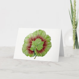 Pelargonium-hälsningskort "Geranium Löv" Kort