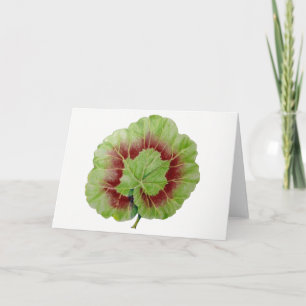Pelargonium-hälsningskort "Geranium Löv" Kort