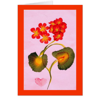 PELARGONkort Hälsningskort
