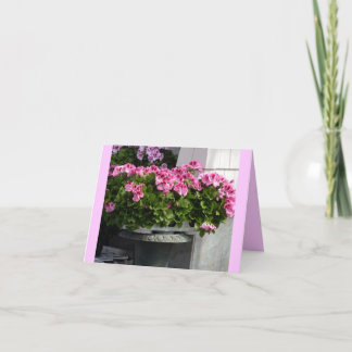 PelargonPlanter Kort