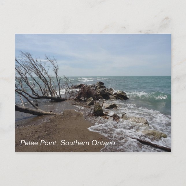 Pelee Point, Southern Ontario Vykort (Framsida)