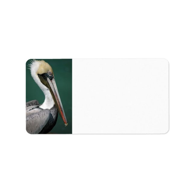 Pelican Adressetikett (Framsidan)