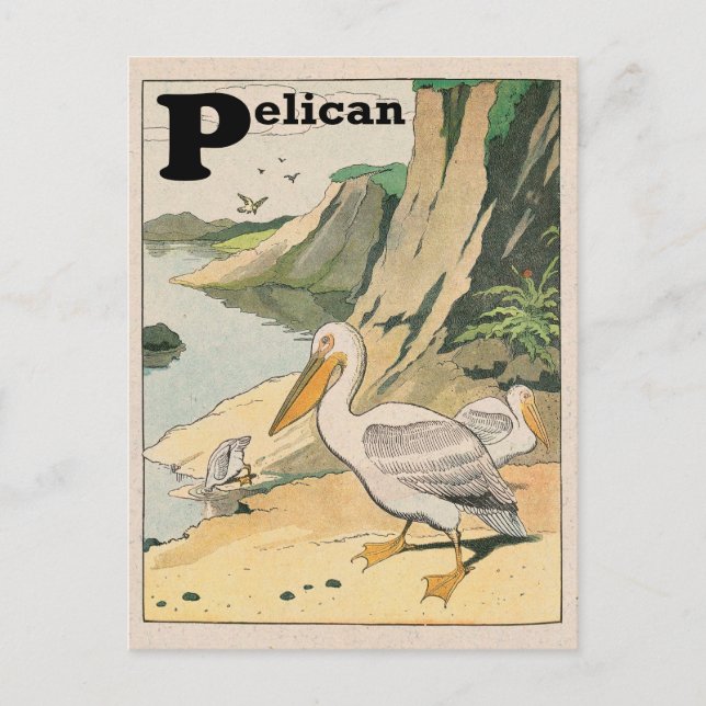 Pelican Alphabet Vykort (Framsida)