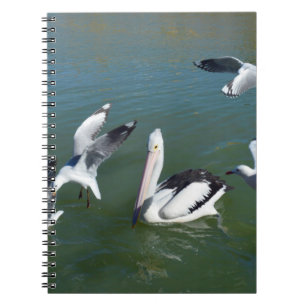 Pelican And The Gate Crashers, Anteckningsbok