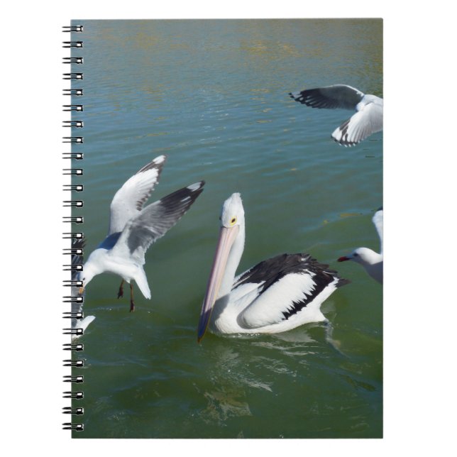 Pelican And The Gate Crashers,  Anteckningsbok (Framsidan)