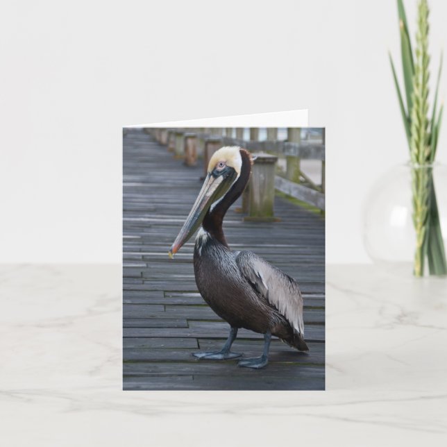 Pelican/anteckningskort Kort (Framsida)