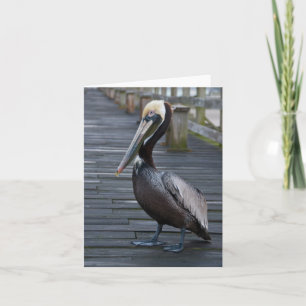 Pelican/anteckningskort Kort