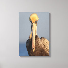 Pelican Attitude Canvastryck