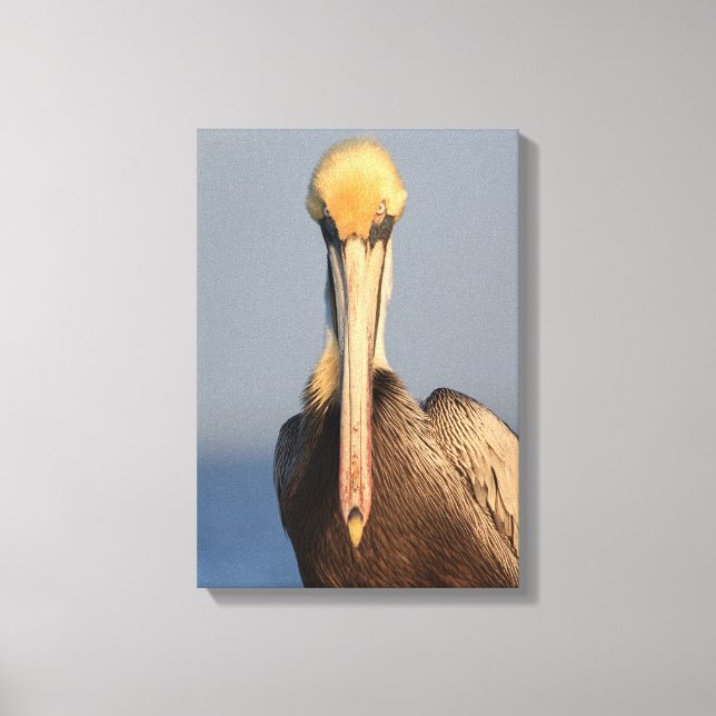 Pelican Attitude Canvastryck (Framsida)