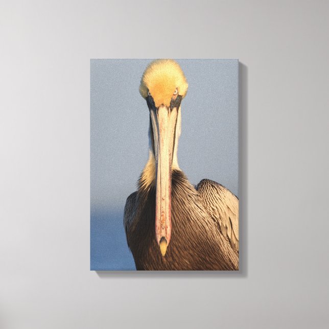 Pelican Attitude Canvastryck (Framsida)