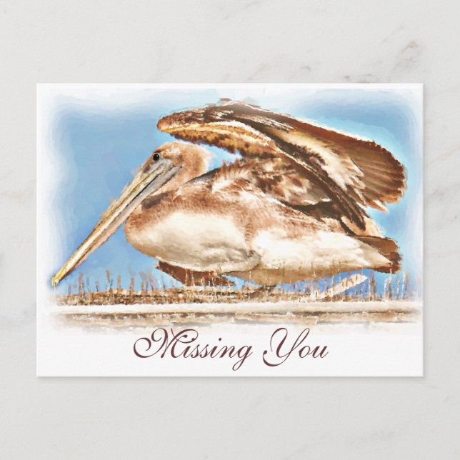 Pelican Awaits_ Vykort (Framsida)