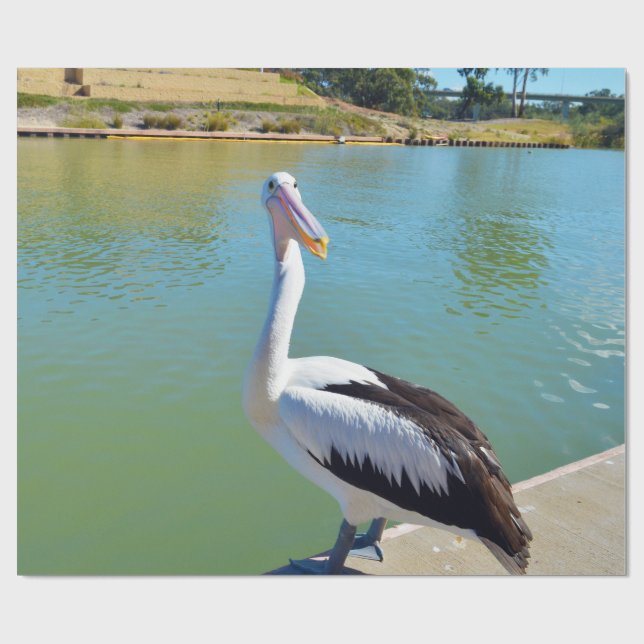 Pelican Back-Chatta, figurera Pappert Presentpapper (Platt)