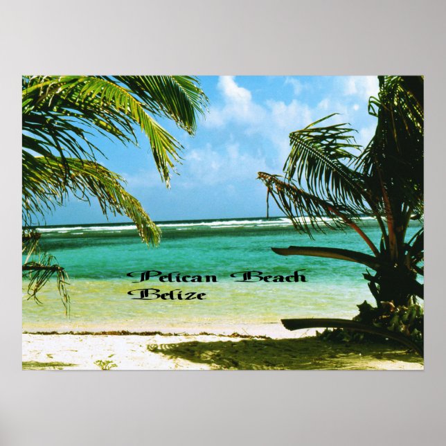Pelican Beach Belize Poster (Framsidan)