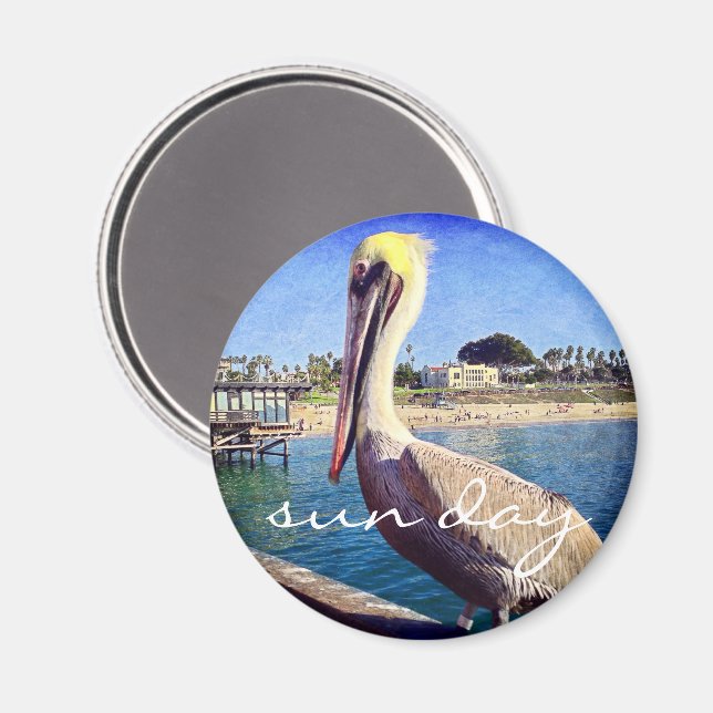 Pelican Birand Pier-foto sol Dag Citat-magnet Magnet (Front/Back)