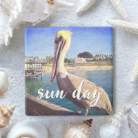 Pelican Bird Ocean Beach Pier Photo Sol Day Citote
