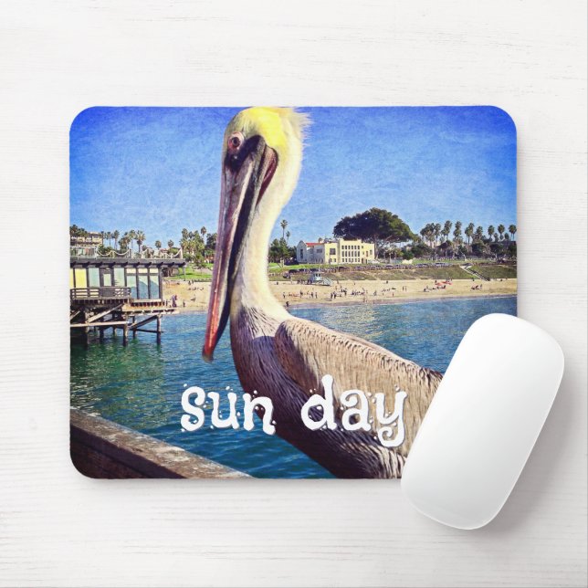 Pelican Bird Ocean Beach Pier Photo Sol Day Musmatta (Med mus)