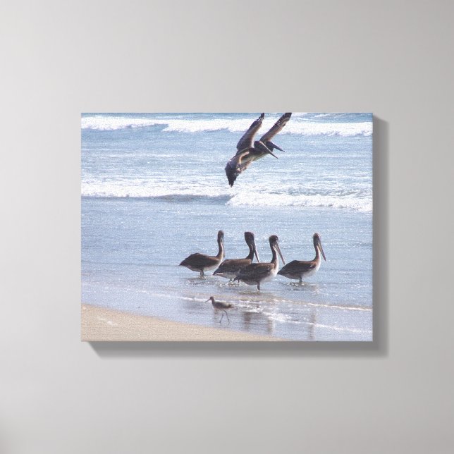 Pelican Birds Wildlife Animals Ocean Canvastryck (Framsida)