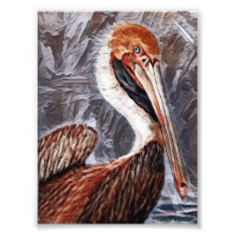 Pelican Brief Fototryck