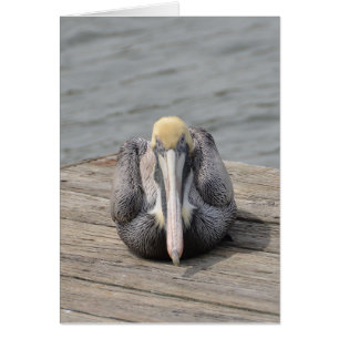 Pelican Card Hälsningskort