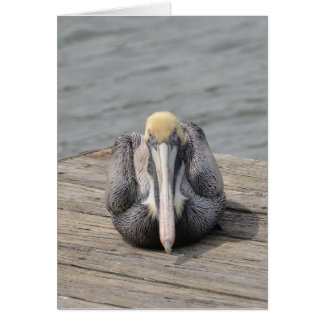 Pelican Card Hälsningskort