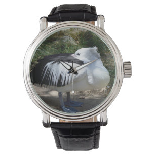 Pelican Cat Napping Ställande upp sig. Armbandsur