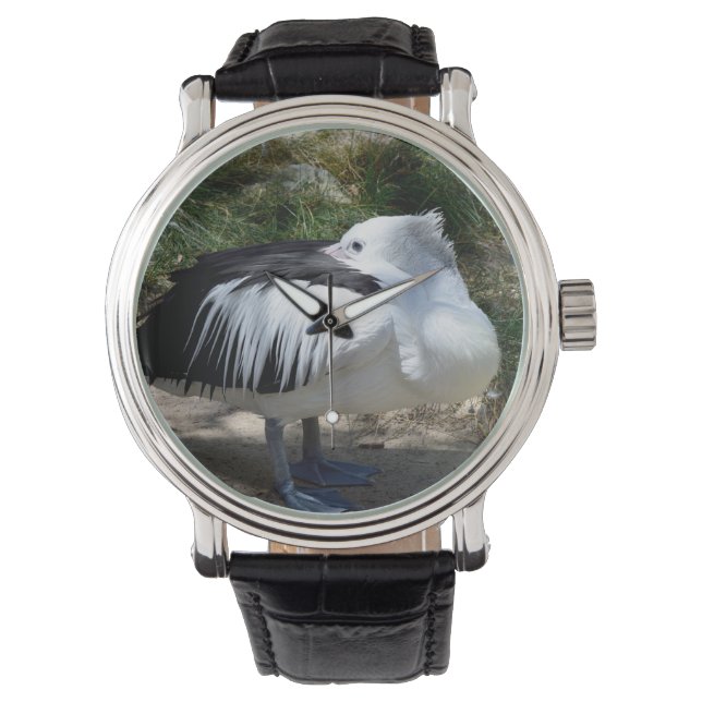 Pelican Cat Napping Ställande upp sig. Armbandsur (Framsida)