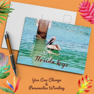 Pelican Chilling in the Florida Nycklar Ocean Vykort