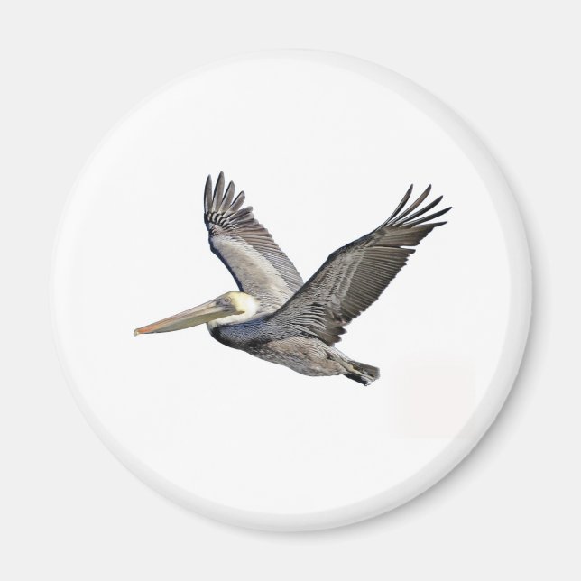 Pelican Clear Magnet (Framsidan)